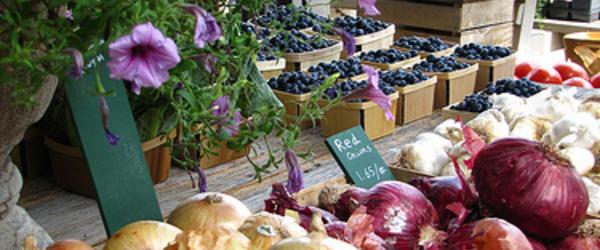 The Best Farmer's Market in and Around Boston