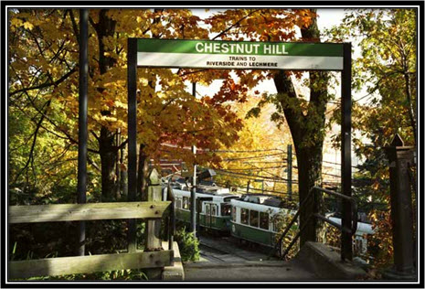 Chestnut Hill Real Estate Agent